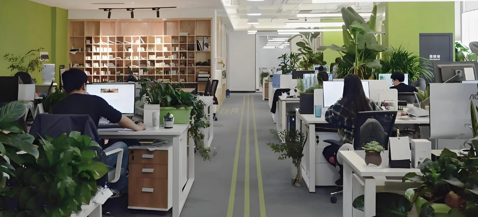 湖南肆叁壹壹贰陆商贸有限公司轮播图1