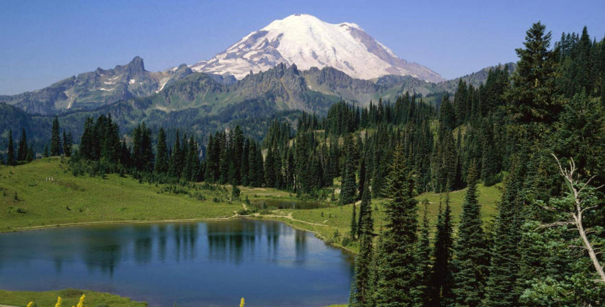 湖南肆叁壹壹贰陆商贸有限公司轮播图3